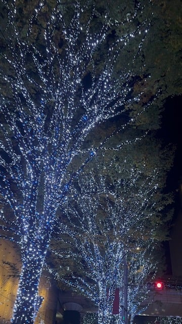 「１月のお知らせ」