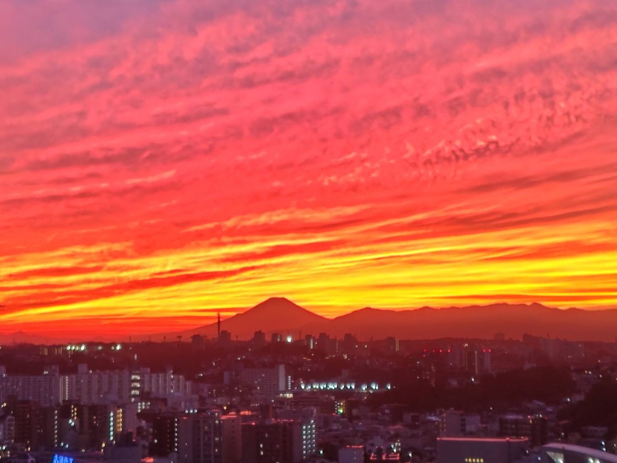 「１１月のお知らせ」