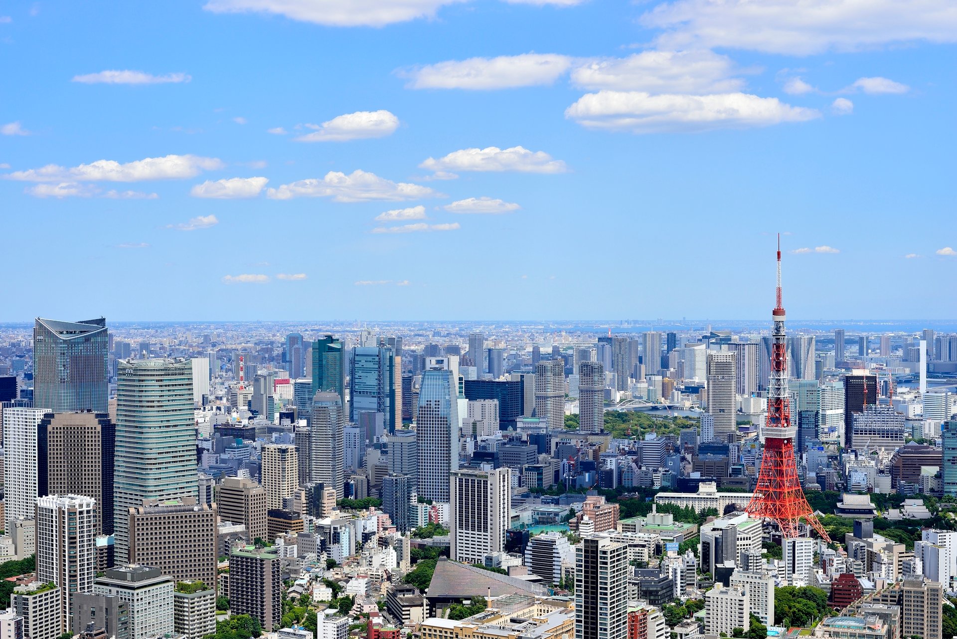事業案内