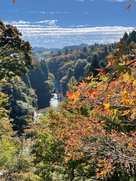 「１２月のお知らせ」