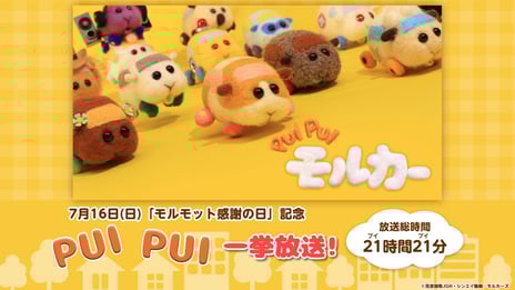 『PUI PUI モルカー』
“モルモット感謝の日”に
全話を21時間21分（プイプイ）繰り返す
無料一挙放送をニコ生で実施決定！