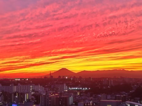 「１１月のお知らせ」