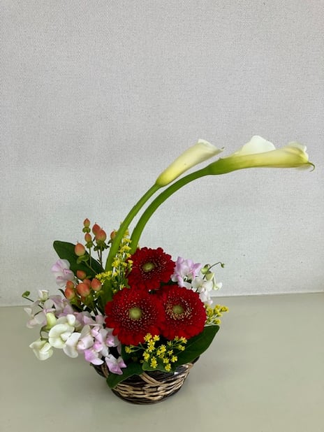 2月先生作品