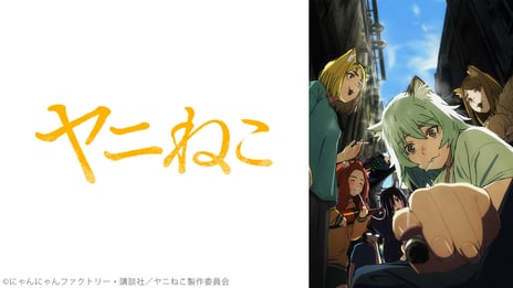 アニメ『ヤニねこ』第1～6話無料振り返り上映会
8/13（木）22時～配信決定！
ヤニねこ役・夏吉ゆうこのサイン入り台本が当たる
プレゼントキャンペーンを実施
～「コメント最多シーンTOP5」も発表～