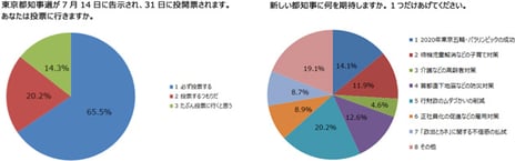 ― 東京都知事選でニコニコアンケート調査を実施 ―
東京都知事選の序盤情勢
小池氏幅広い支持で優位
鳥越氏追い上げ 増田氏続く