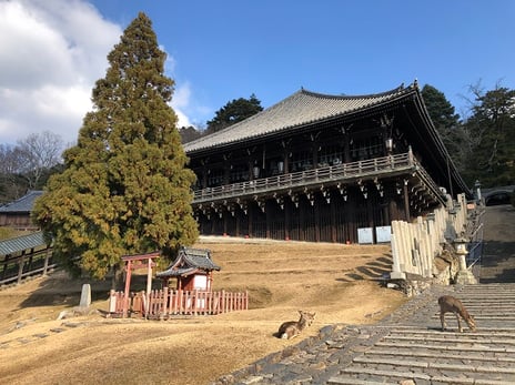 1270年続く不退の行法、東大寺二月堂修二会
本行中の14日間に渡り屋外から二月堂の様子を
歴史上初のネット生中継