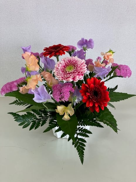 令和８年１月先生作品